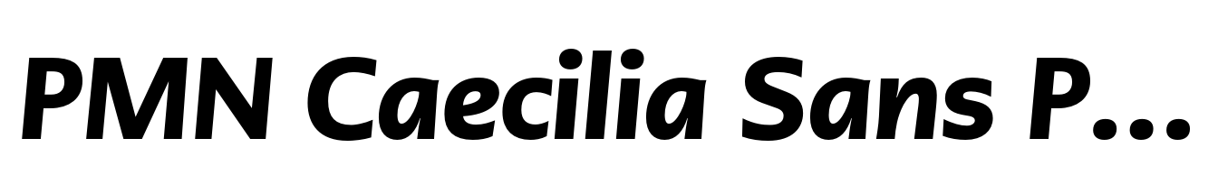 PMN Caecilia Sans Pro Head Black Italic